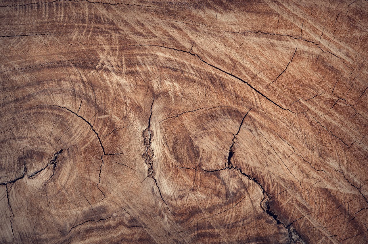 Close-up of a textured brown wooden surface showcasing natural patterns and grain details.